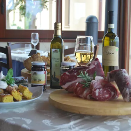 In Marche With Pool & Wine Tours Semesterbostad Montecarotto